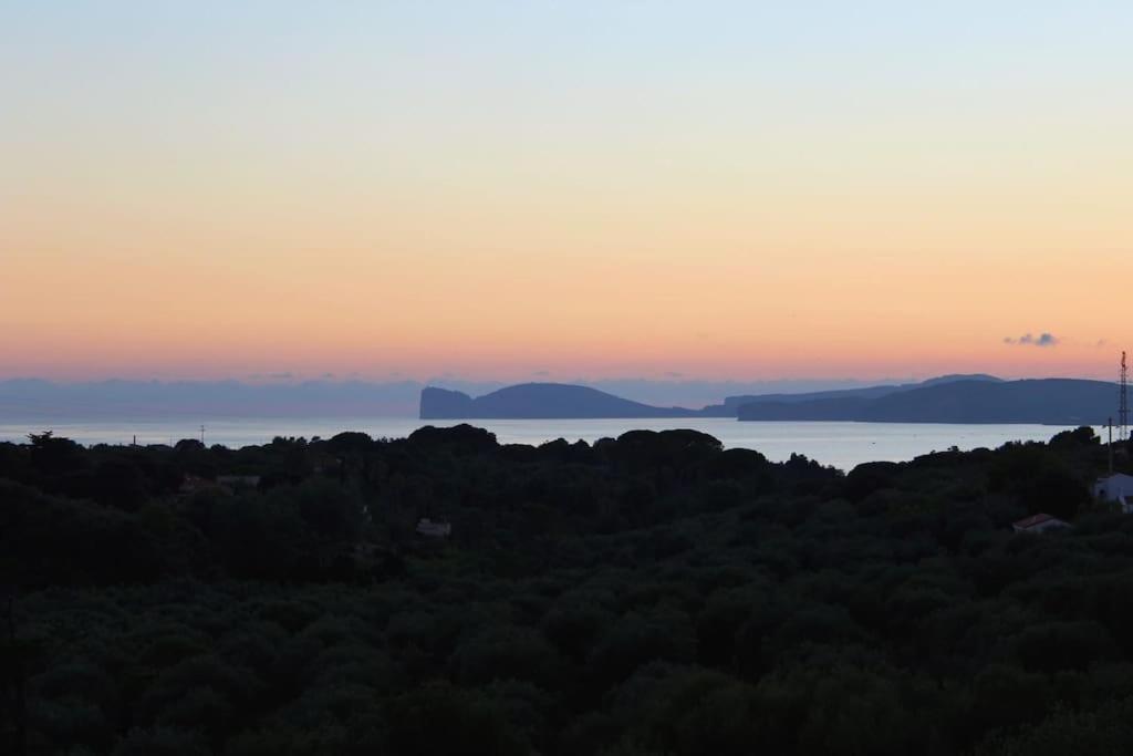 Villa Boeddu, Relax Tra Mare E Campagna Alghero Bagian luar foto